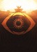 Trials of Osiris Wins