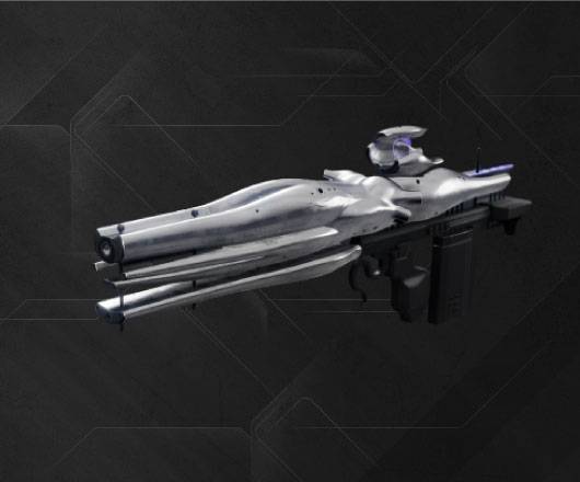 Collective Obligation Exotic Pulse Rifle from the D2 Witch Queen Raid ...