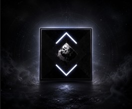 Destiny 2 Superblack Shader Farm Monument of Triumph service